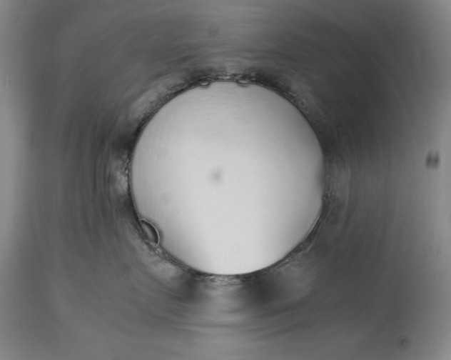 X0000115440719200911181523