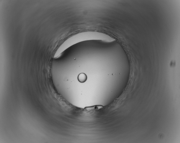 X0000115440720200911181523