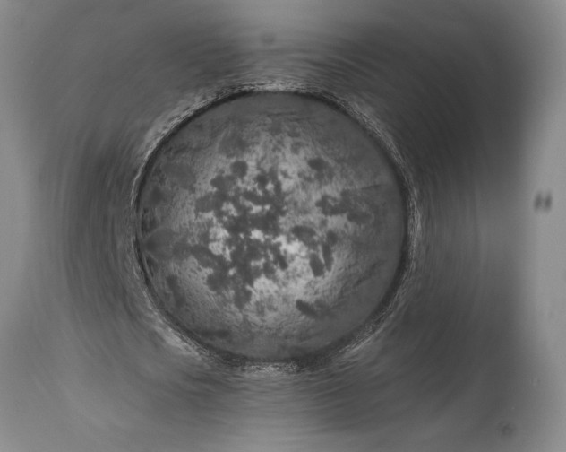 X0000115440721200911181522