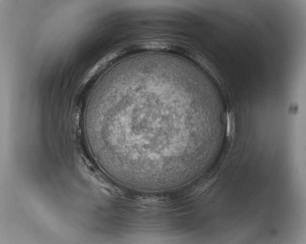 X0000115440723200911181522