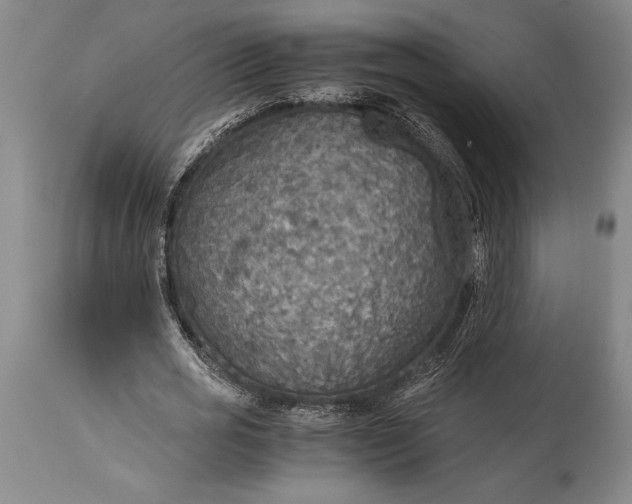 X0000115440725200911181522