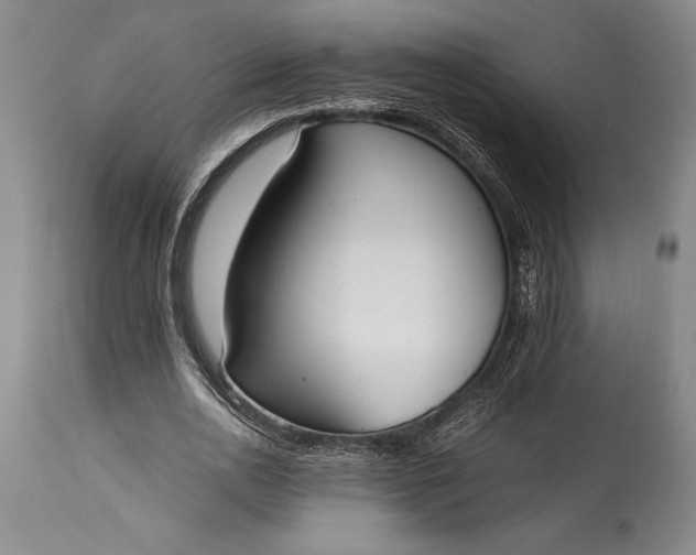 X0000115440726200911181522