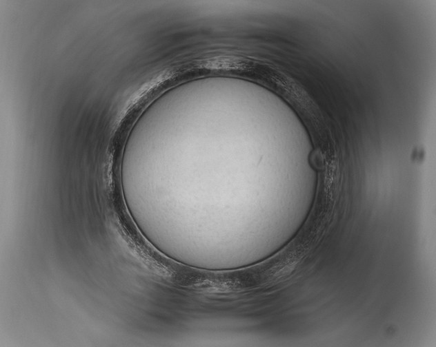 X0000115440727200911181522