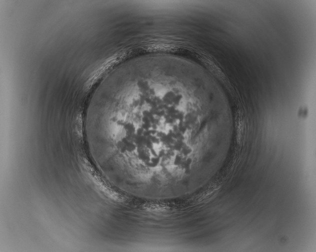 X0000115440729200911181523