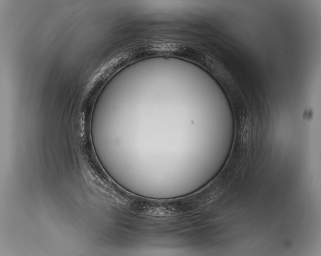 X0000115440731200911181523