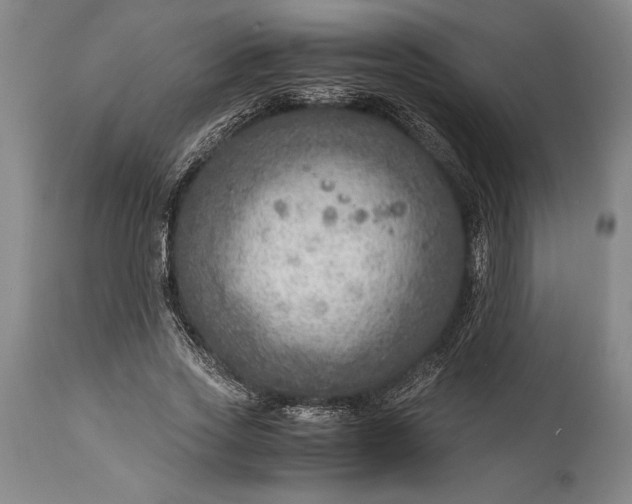 X0000115440733200911181523