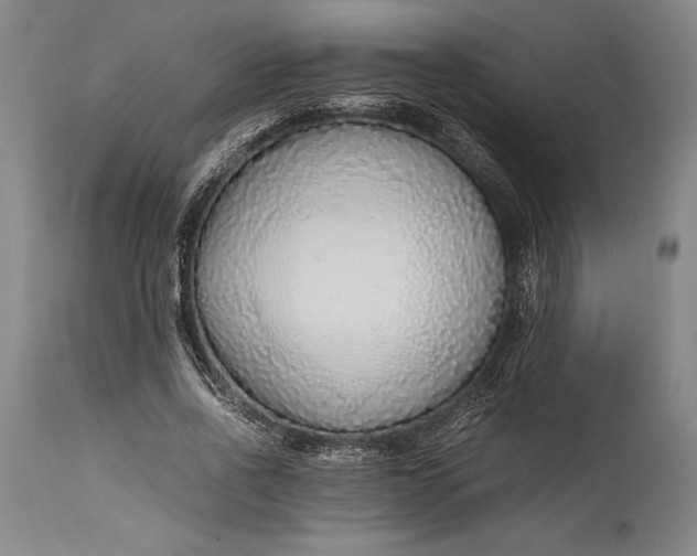 X0000115440734200911181523