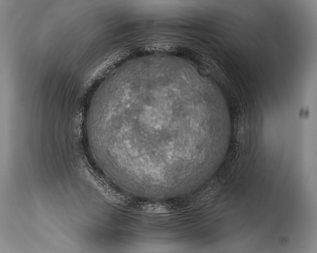 X0000115440735200911181523