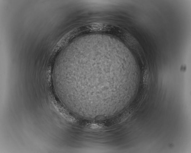 X0000115440737200911181523