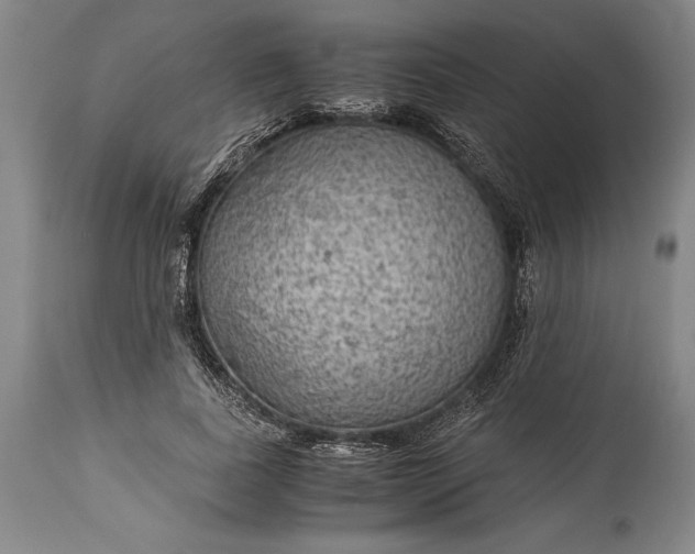 X0000115440739200911181523