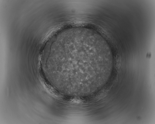 X0000115440742200911181523