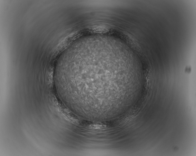 X0000115440745200911181523