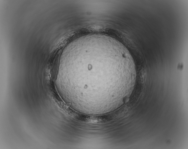 X0000115440746200911181523