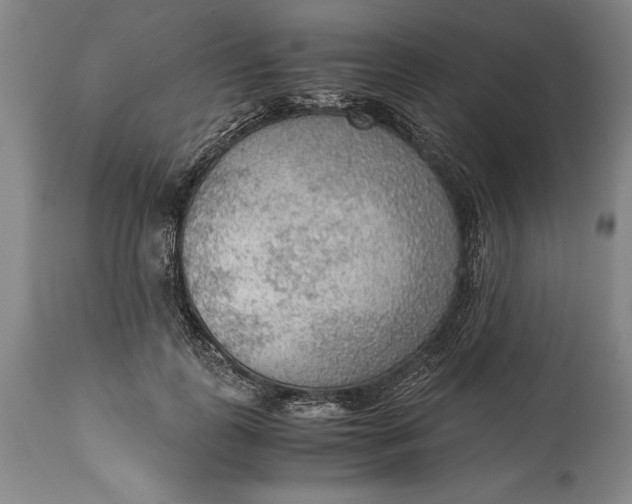 X0000115440747200911181523
