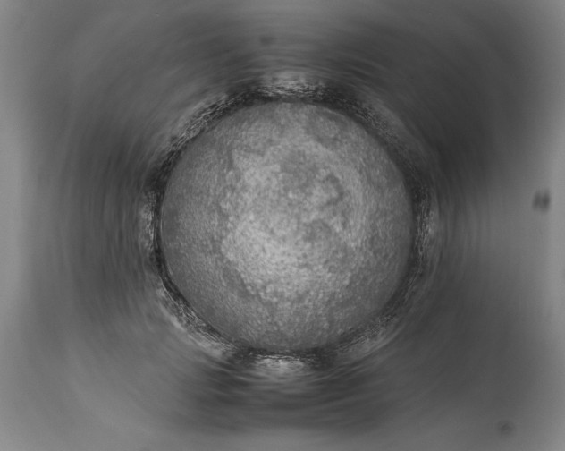 X0000115440749200911181523
