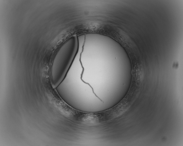 X0000115440750200911181523