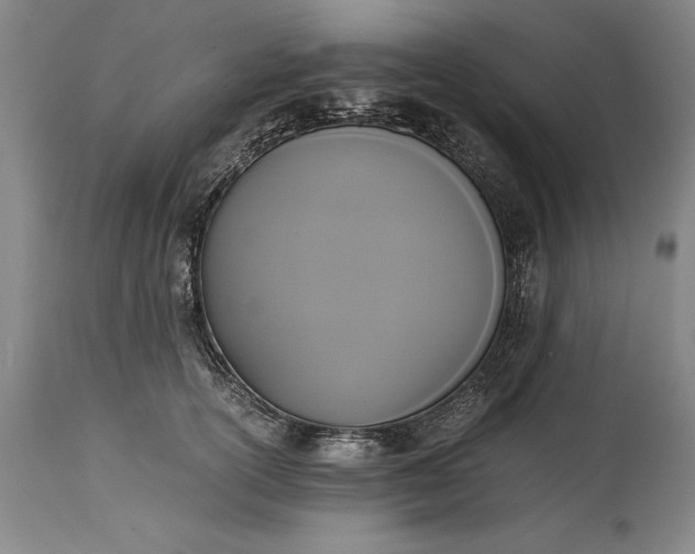 X0000115440754200911181523