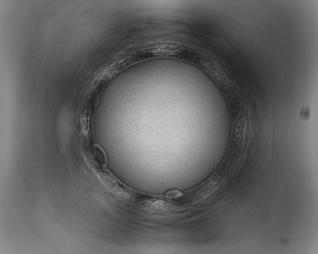 X0000115440755200911181523