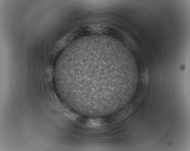 X0000115440757200911181523