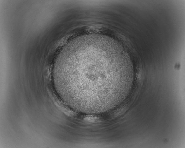 X0000115440759200911181523
