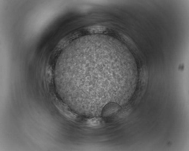 X0000115440761200911181523