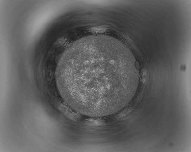 X0000115440763200911181523