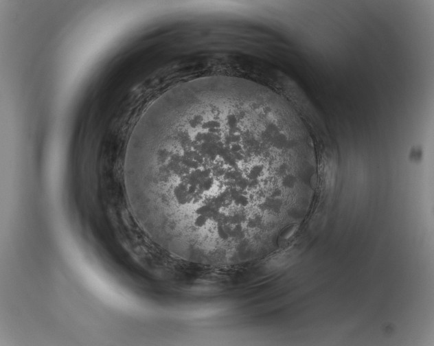 X0000115440765200911181523