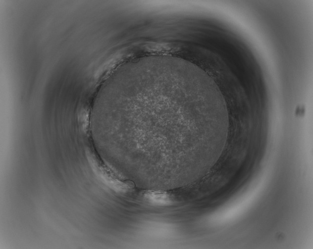 X0000115440767200911181523