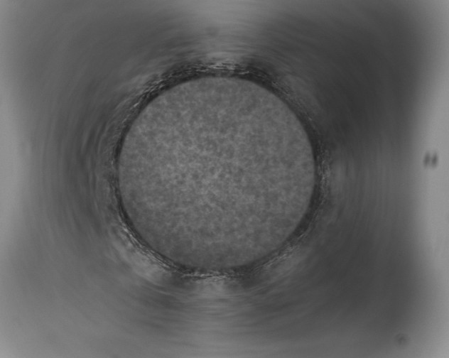 X0000115440769200911181522