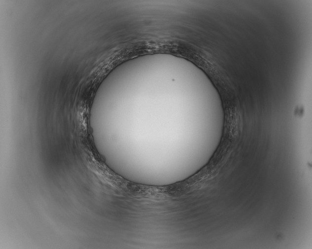 X0000115440770200911181522