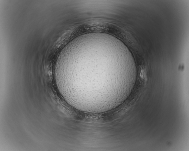 X0000115440771200911181522
