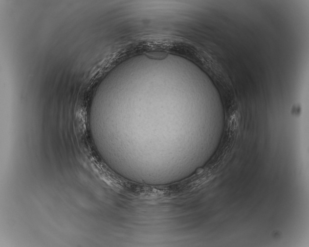 X0000115440772200911181522