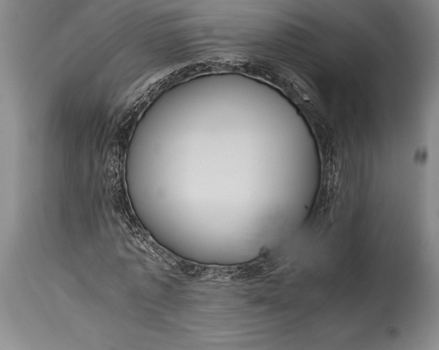 X0000115440773200911181522