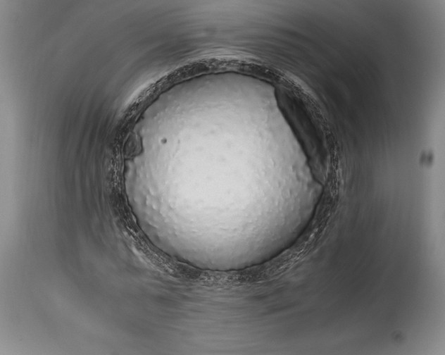 X0000115440775200911181522