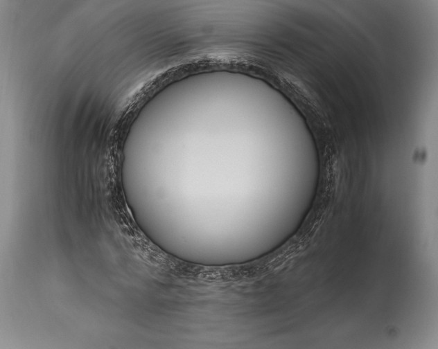 X0000115440776200911181522