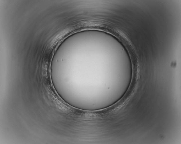 X0000115440777200911181522