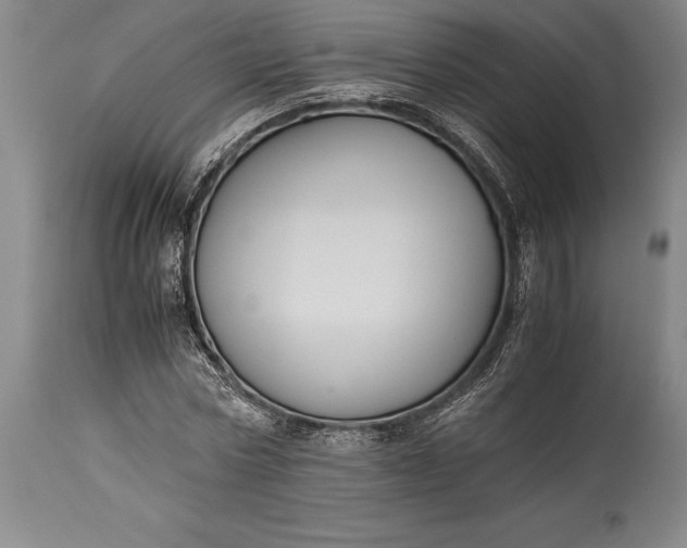 X0000115440778200911181522