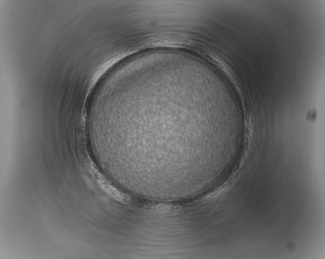 X0000115440779200911181522