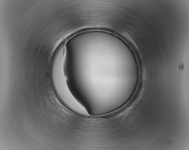 X0000115440781200911181522