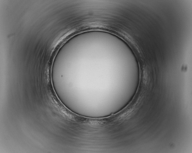 X0000115440782200911181522