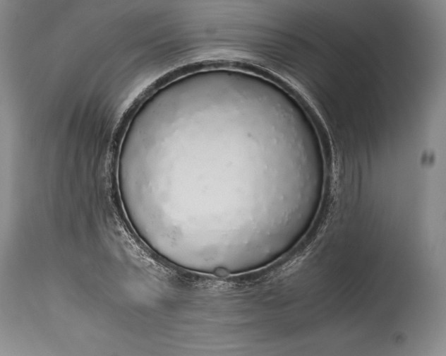 X0000115440783200911181522