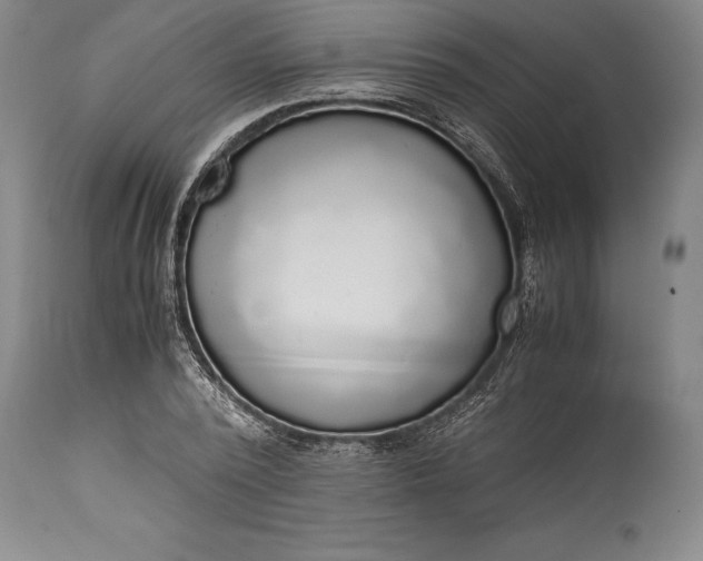 X0000115440784200911181522