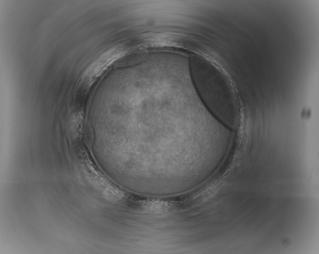 X0000115440785200911181522