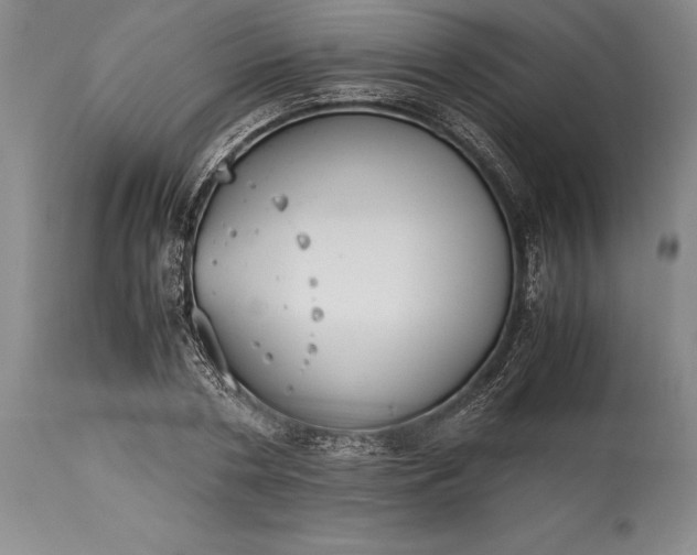 X0000115440786200911181522