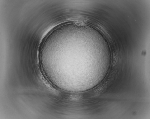 X0000115440788200911181522