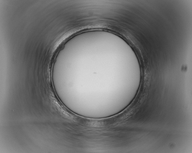 X0000115440789200911181522