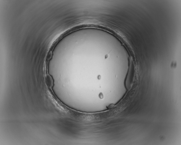 X0000115440791200911181522