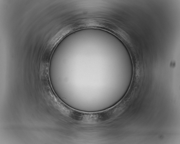 X0000115440793200911181522