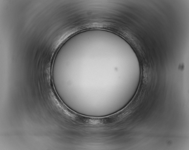 X0000115440794200911181522