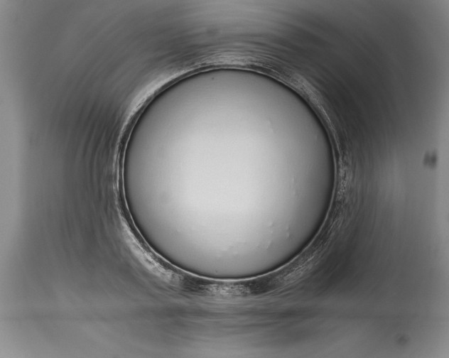 X0000115440795200911181522